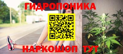 гидра Заволжье