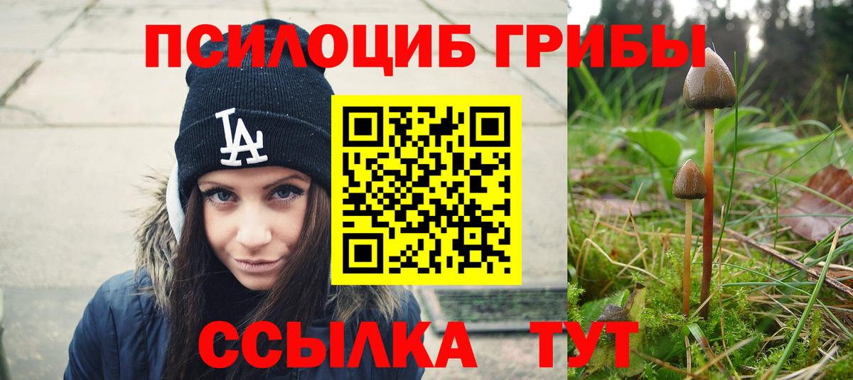 Псилоцибиновые грибы MAGIC MUSHROOMS  Вход с VPN  Новочеркасск 